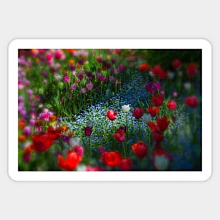 Tulip Garden Sticker